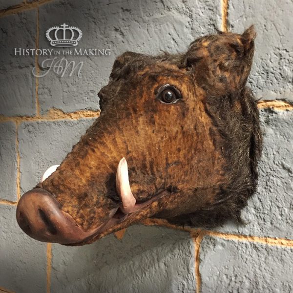 Boars Head- Hunting Trophy- Fake fur and plastic